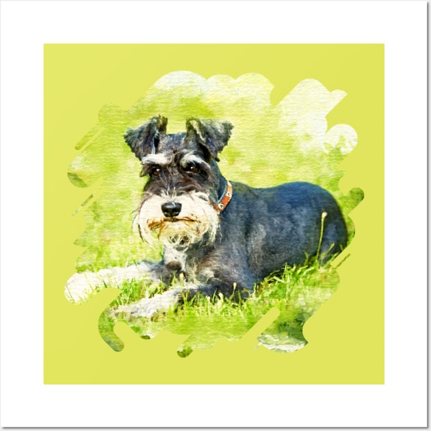 Miniature Schnauzer Wall Art by Nartissima